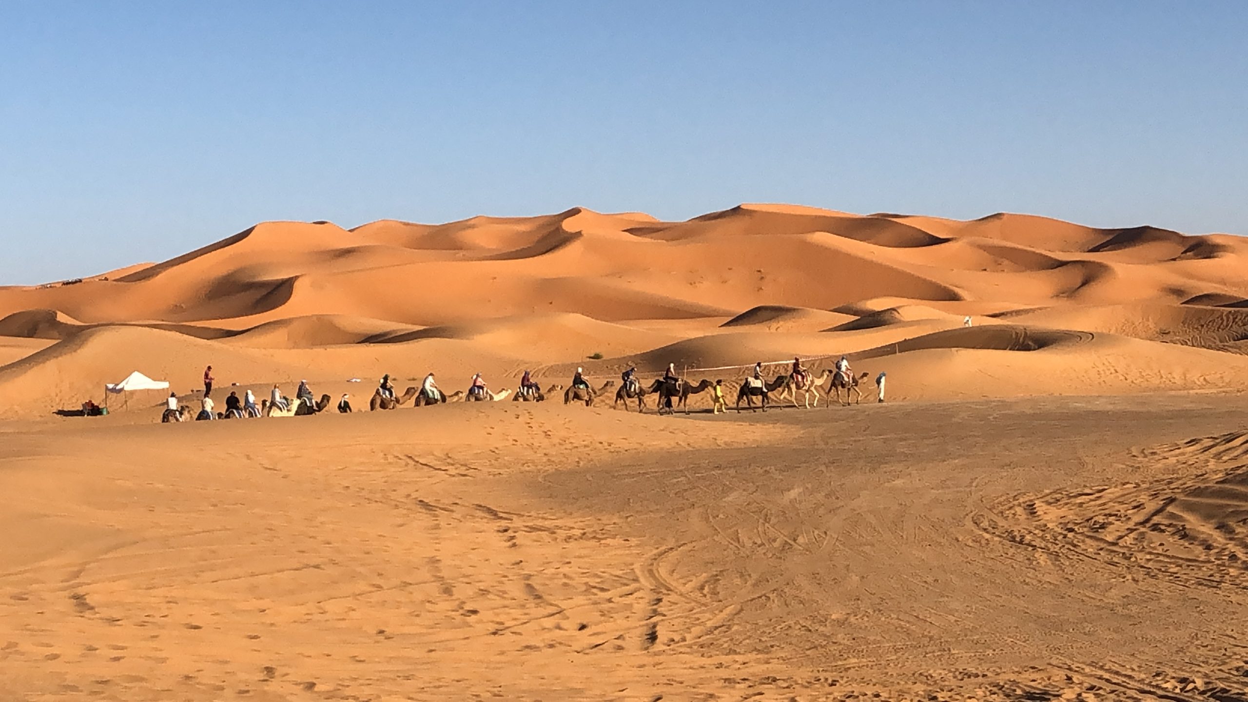 * Camel trekking in Merzouga Sahara Desert