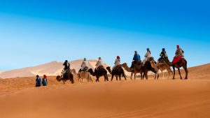 Camel trekking across the Erg Chebbi dunes in Merzouga, Morocco