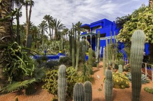 Majorelle Garden