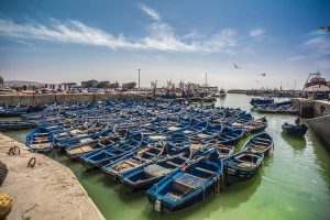 Traditional blue fishing boats moored at the historic fishing harbor of Essaouira, Morocco, with the Atlantic Ocean and the UNESCO-listed Medina nearby.