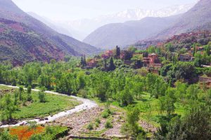Best things to do in Marrakech