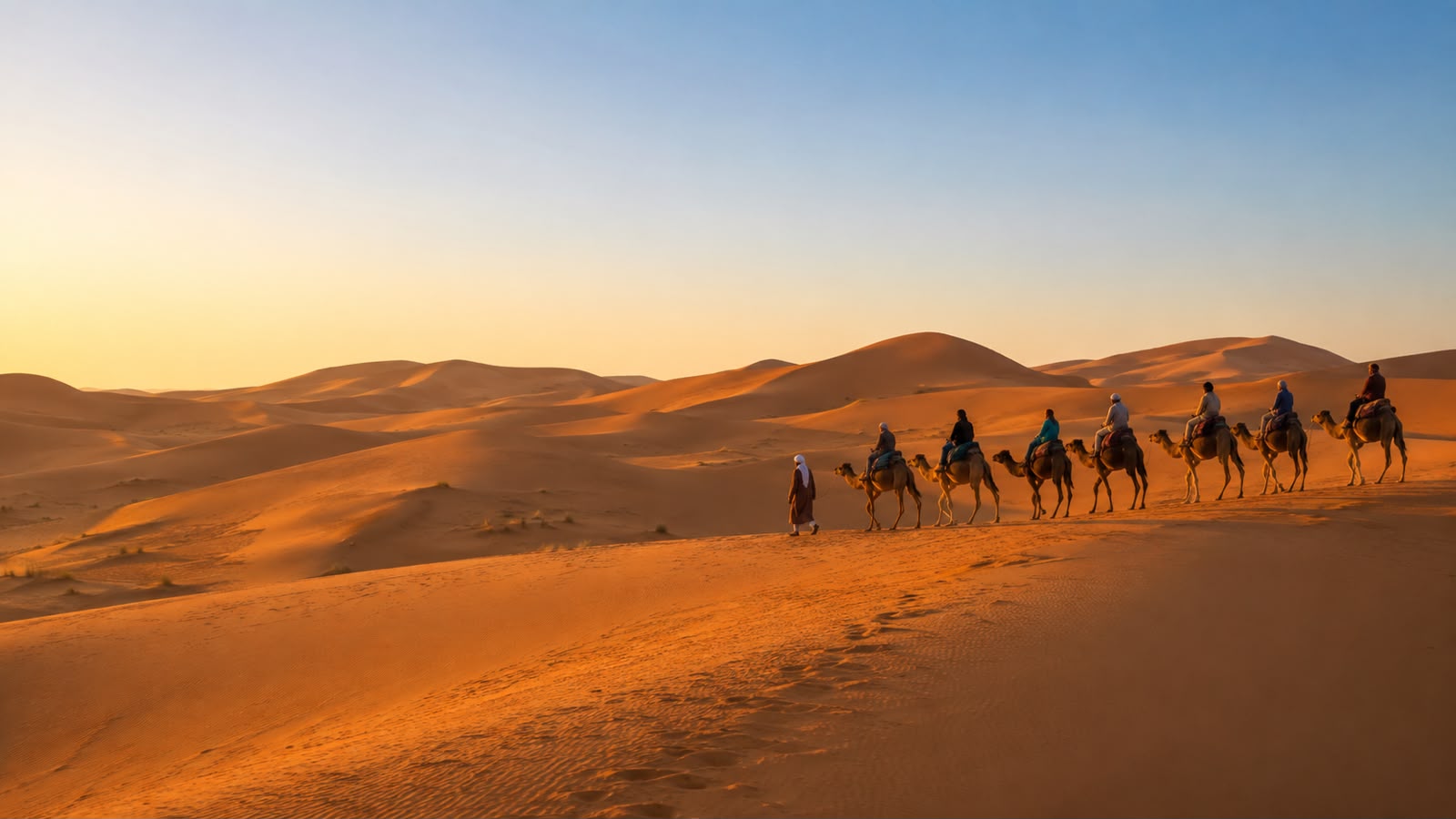 Camel caravan crossing the Erg Chebbi dunes during a 3 day desert tour from Fes to Marrakech