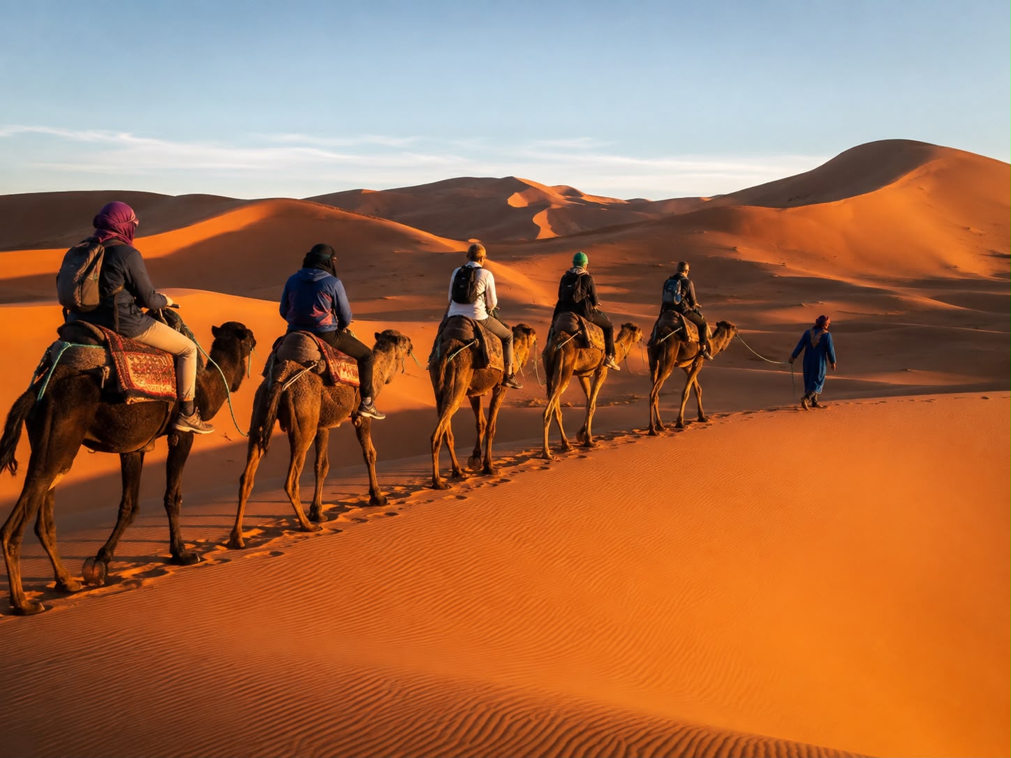 Camel caravan trek with a local camel guide crossing the golden dunes of Erg Chebbi near Merzouga in the Moroccan Sahara