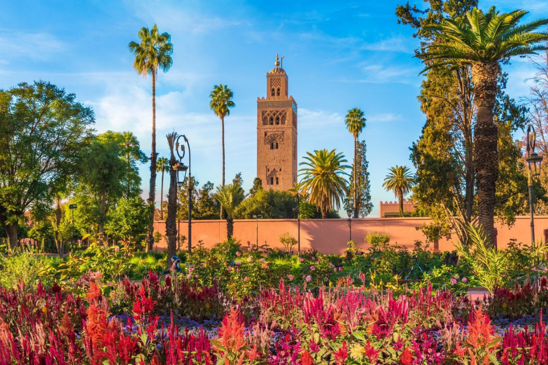 Vue panoramique de la médina de Marrakech au printemps