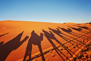 Marrakech to Merzouga Desert Tour: Routes, Stops & Essential Travel Tips