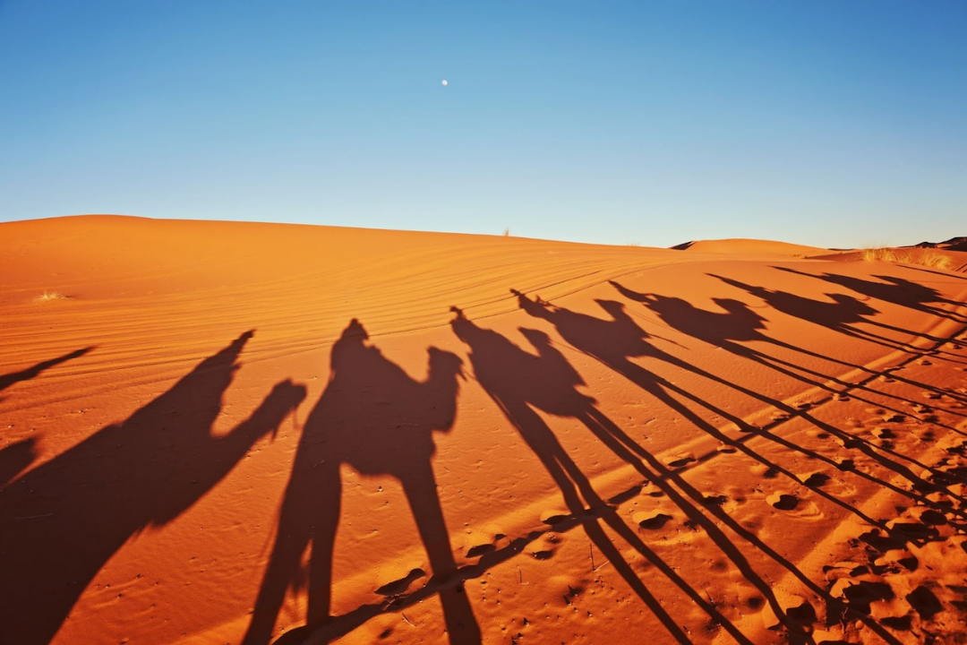 Golden sand dunes of Merzouga under a clear sky capturing the vast Sahara desert landscape