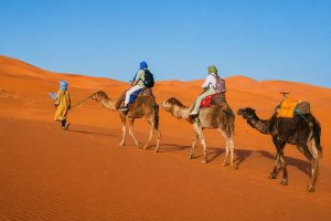 Camel caravan in Erg Chebbi during a Marrakech to Merzouga Desert Tour