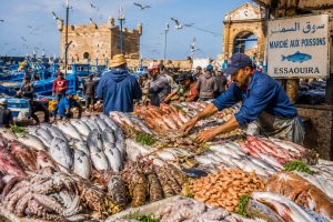 Fresh seafood market at Essaouira Fishing Port featuring local fishermen, freshly caught fish, lobster, octopus, shrimp, blue fishing boats, and the historic harbor in Essaouira, Morocco.