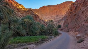 Narrow road through Aït Mansour Gorge oasis near Tafraoute in Morocco’s Anti-Atlas Mountains